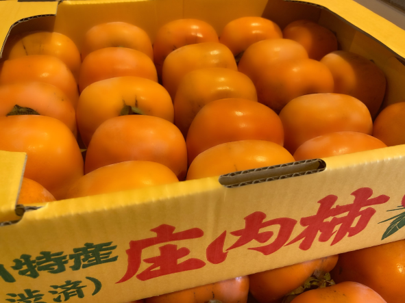 庄内柿